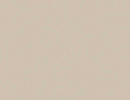 U750 Taupe Grey Colour