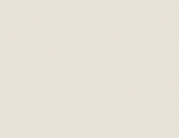 U775 - White Grey Colour